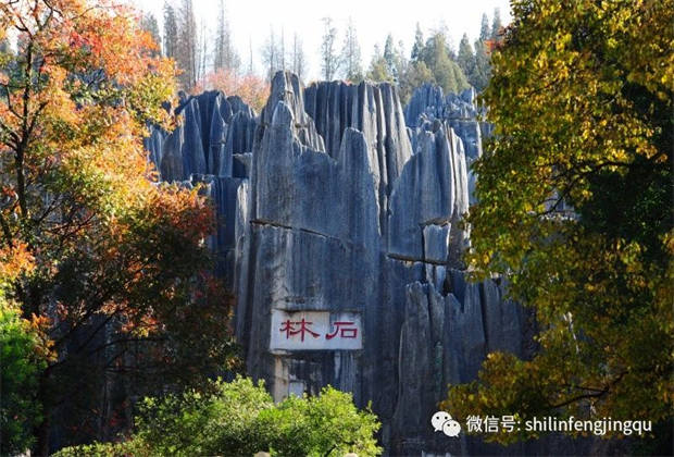 石林，中國天然氧吧