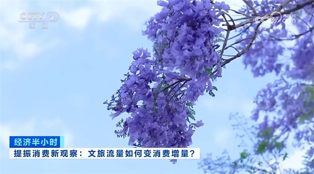 云南旅游,云南旅行社,云南團建公司,云南策劃公司,云南會議執(zhí)行公司,昆明旅游,昆明旅行社,昆明團建公司,昆明策劃公司,昆明會議執(zhí)行公司：央視13分鐘聚焦！昆明以花為媒提振消費 文旅流量變消費增量